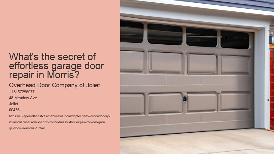 What's the secret of the hassle-free repair of your garage door in Morris?