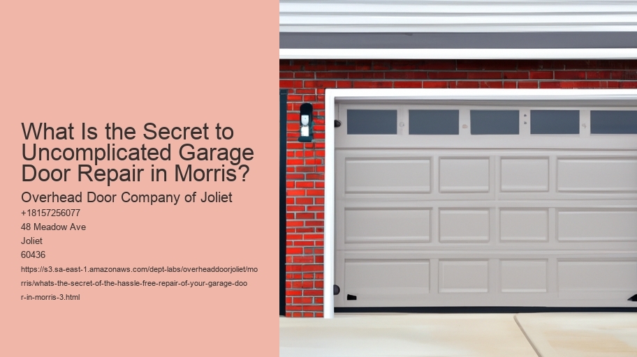 What's the secret of the hassle-free repair of your garage door in Morris?